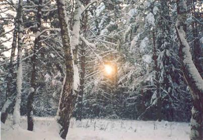 winter_02