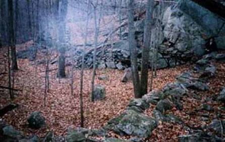 C:\Documents and Settings\lekomtsev\vs\prognoz\��������\Ellie's Megalithic Adventures.files\nature.jpg